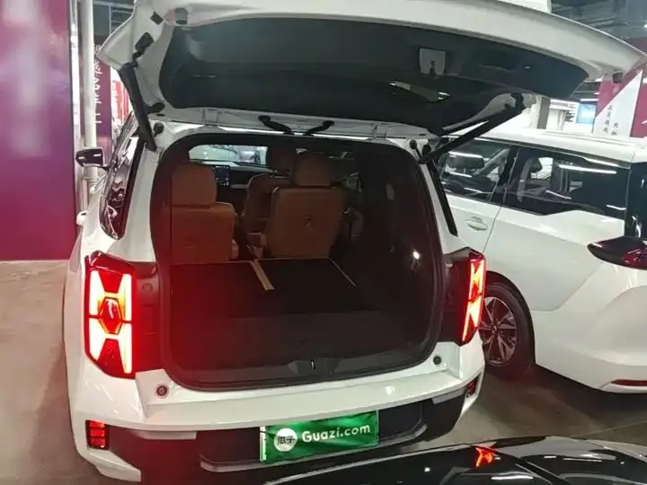 GAC Trumpchi ES9 2024 PHEV 143km Traveler Max 19