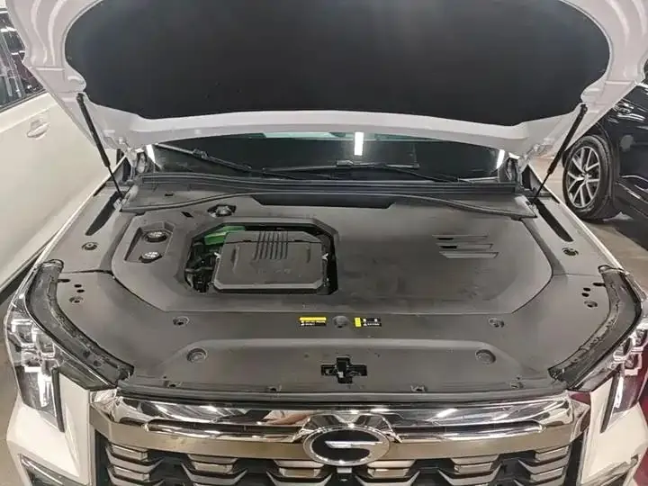 GAC Trumpchi ES9 2024 PHEV 143km Traveler Max 20