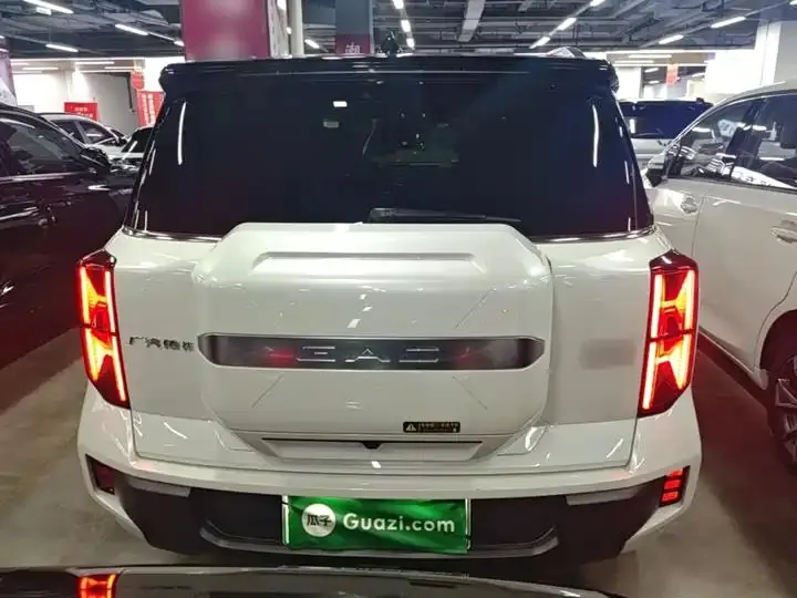 GAC Trumpchi ES9 2024 PHEV 143km Traveler Max 6
