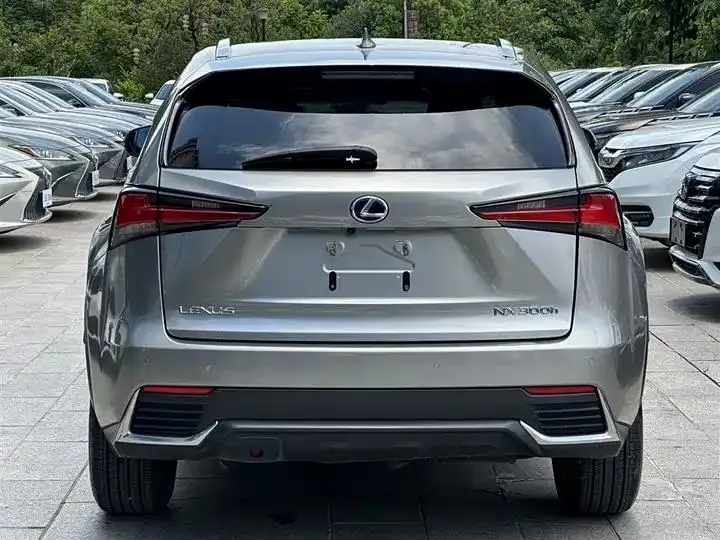 Lexus NX 2015 300h Precursor Edition 4
