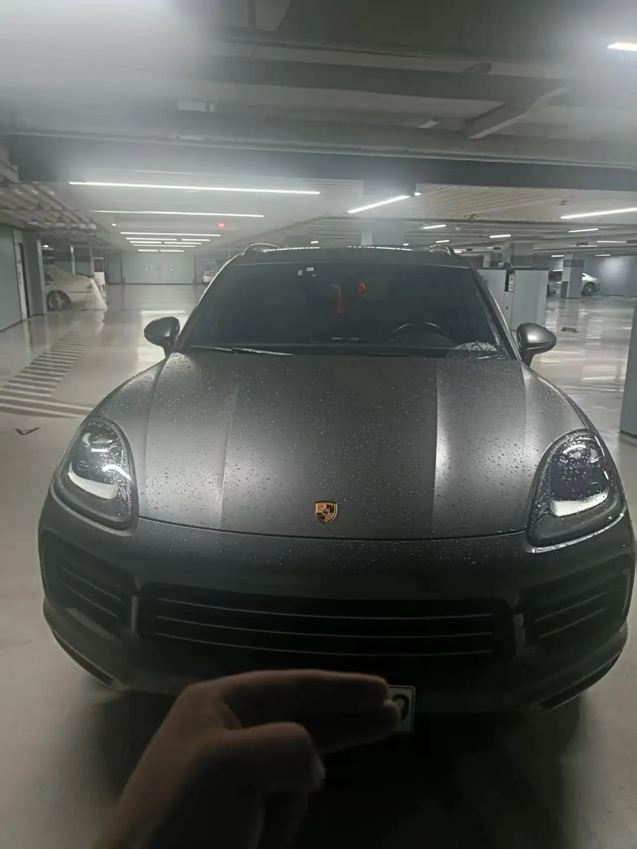 Cayenne New Energy 2022 Cayenne E-Hybrid 2.0T Platinum Edition 2
