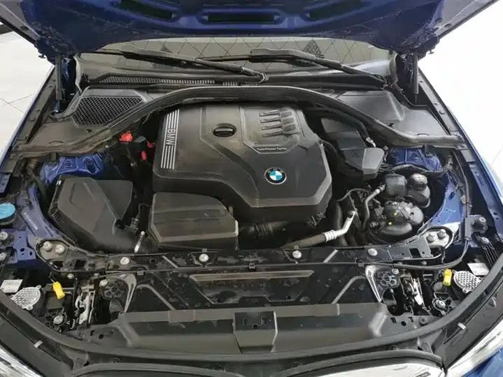 BMW 3 Series 2020 Change 325Li M Sports Suit 10