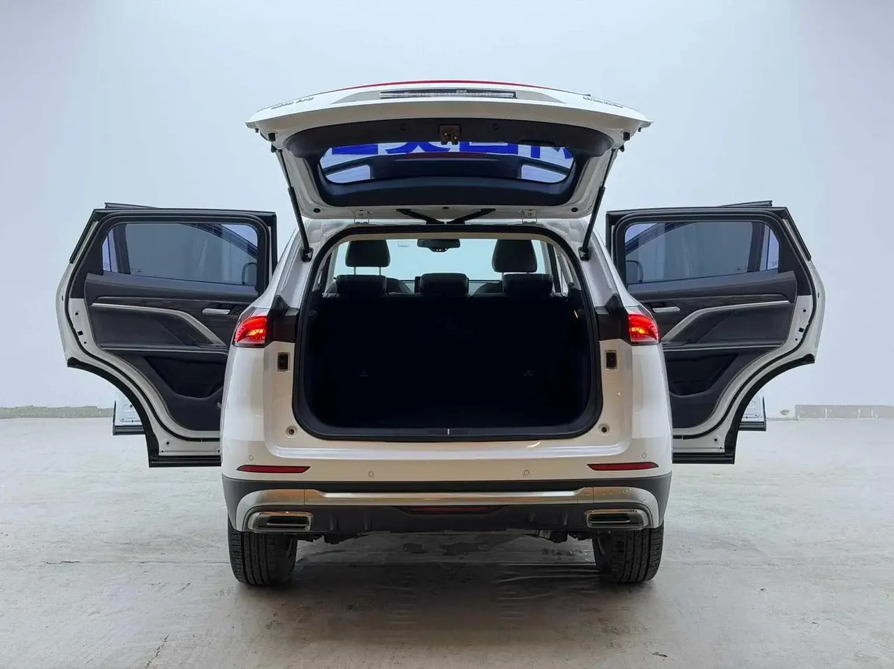 Haval H6 2021 National Tide Edition 1.5T Auto Champion Edition 16