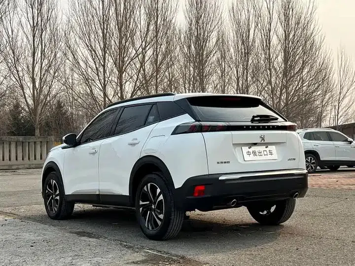 Peugeot 2008 2022 230THP THE ONE 6