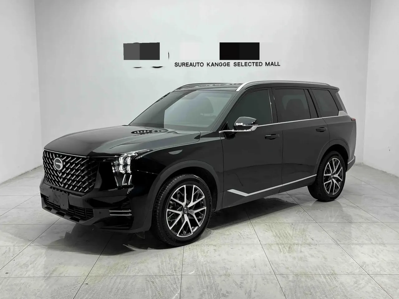Chuanqi 2025 GS8 2.0TGDI Pilot Series 4-wheel Drive Deluxe Edition 5-seat Automatic Gear - View 1