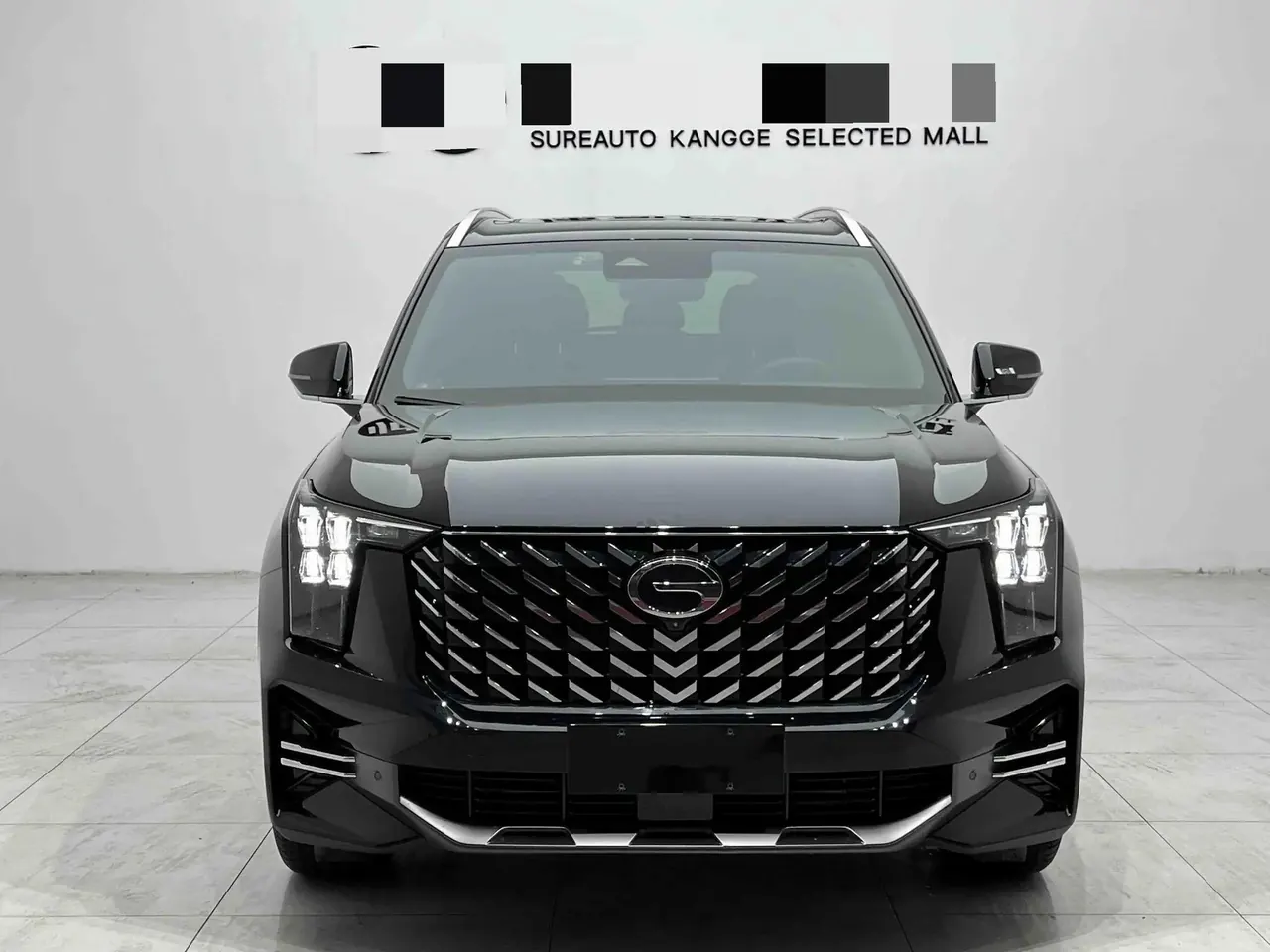 Chuanqi 2025 GS8 2.0TGDI Pilot Series 4-wheel Drive Deluxe Edition 5-seat Automatic Gear 2