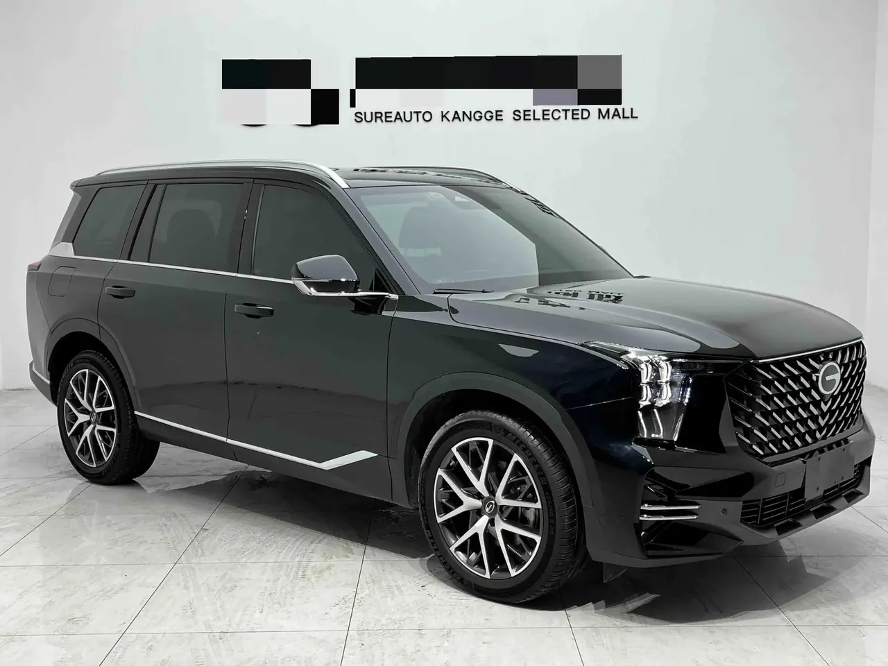 Chuanqi 2025 GS8 2.0TGDI Pilot Series 4-wheel Drive Deluxe Edition 5-seat Automatic Gear 3