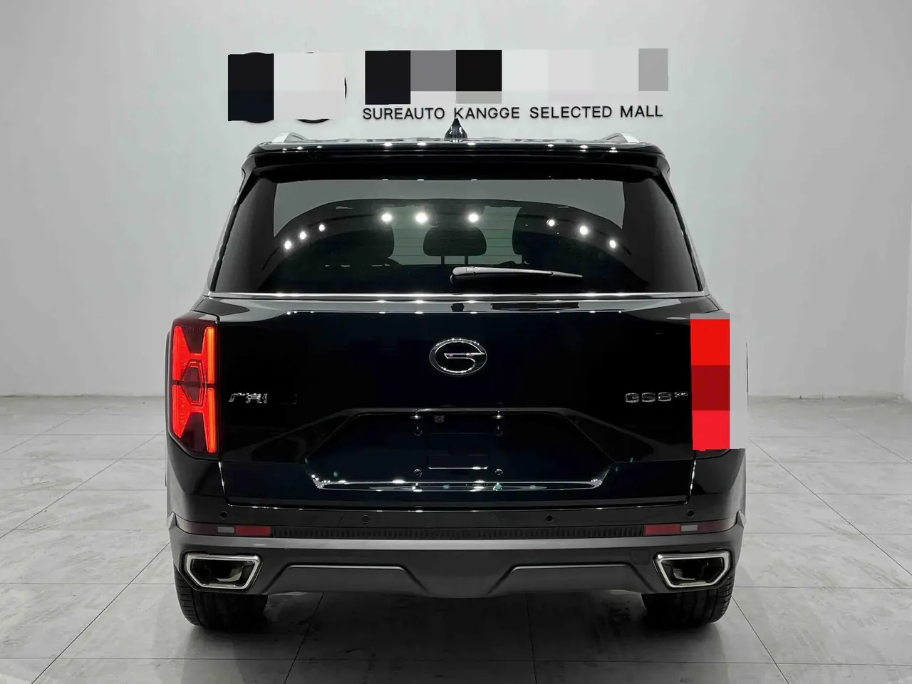 Chuanqi 2025 GS8 2.0TGDI Pilot Series 4-wheel Drive Deluxe Edition 5-seat Automatic Gear 4