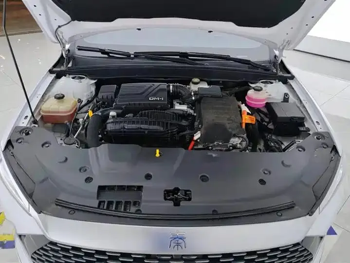 Qin PLUS 2021 DM-i 55KM flagship 10