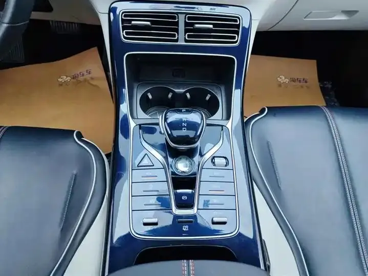Qin PLUS 2021 DM-i 55KM flagship 16