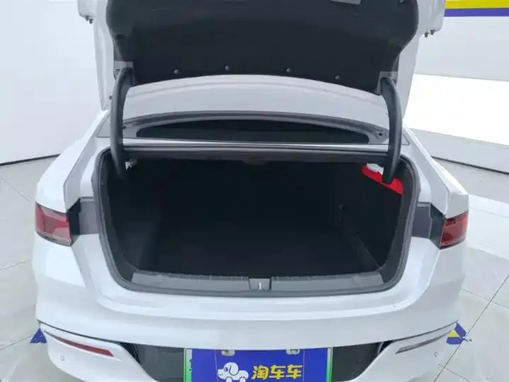 Qin PLUS 2021 DM-i 55KM flagship 4