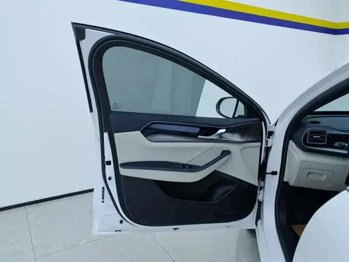 Qin PLUS 2021 DM-i 55KM flagship 7