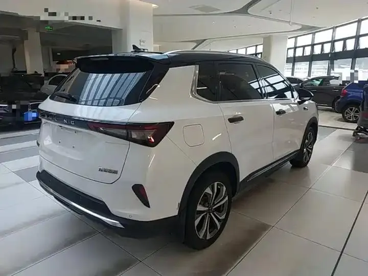 WuLing Star 2021 1.5T CVT Star Obsidian Edition 7
