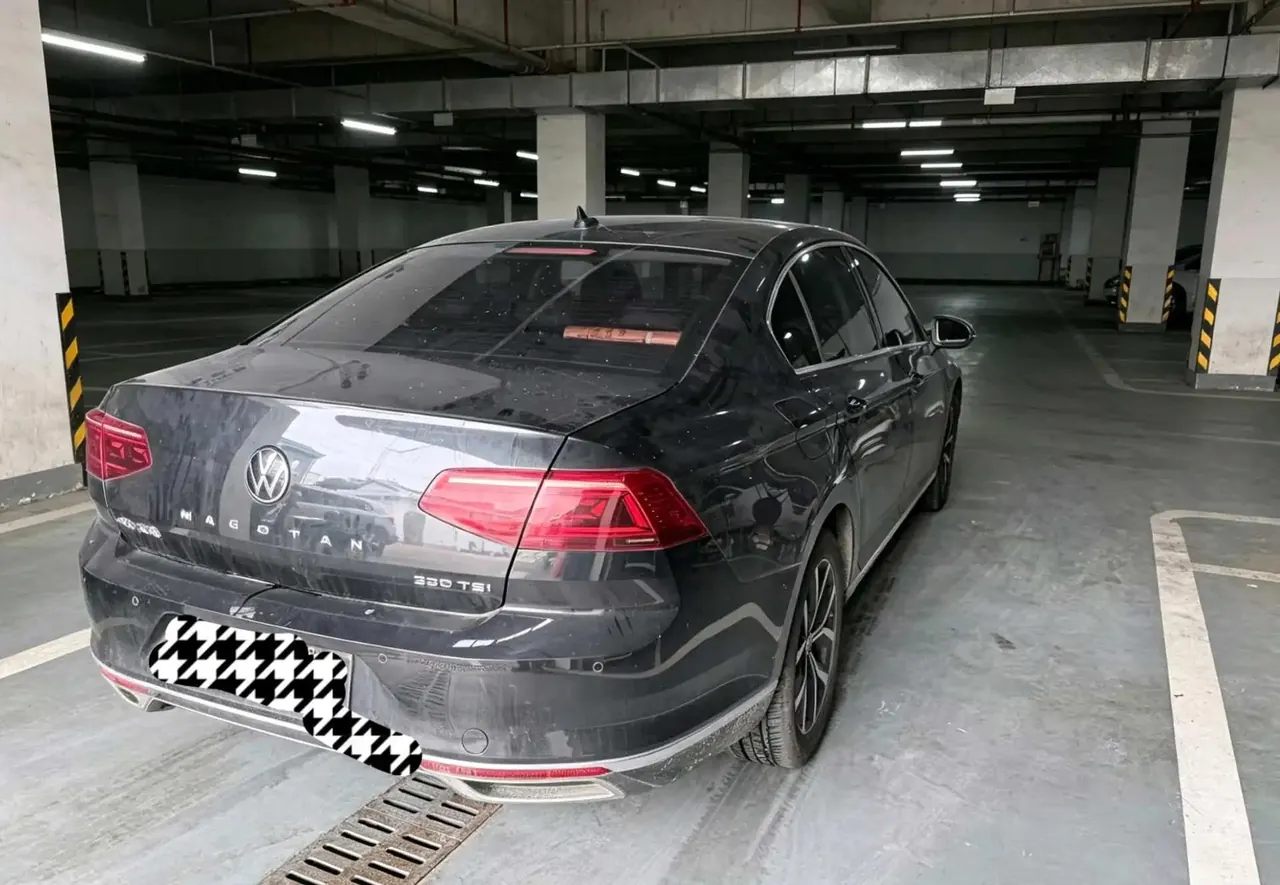 Magotan 2020 330TSI DSG Leading Edition 2