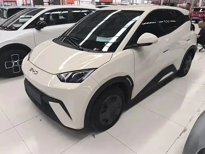 Seagull 2025 Model, 305km Range, Dynamic Edition - View 1