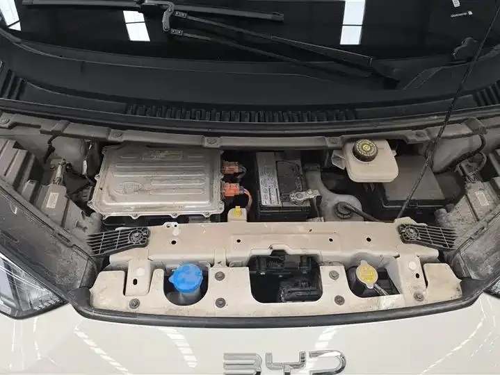 Seagull 2025 Model, 305km Range, Dynamic Edition 10