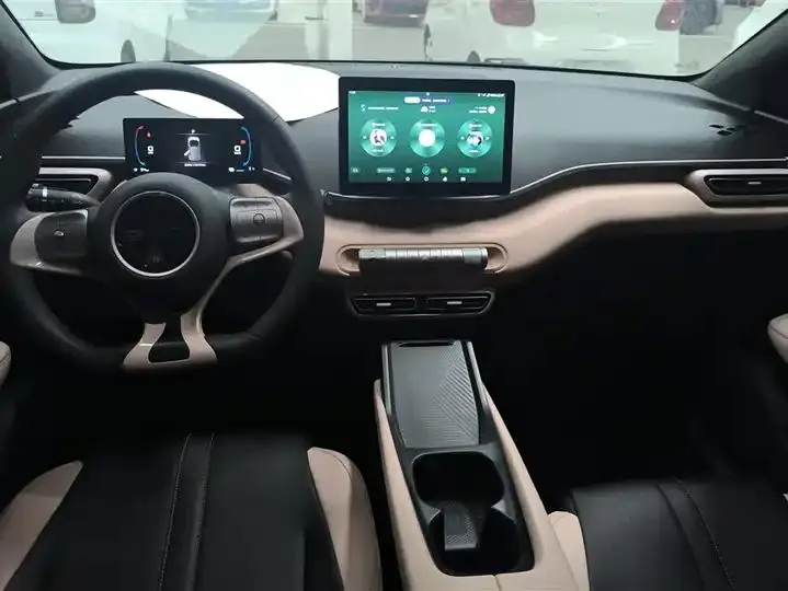 Seagull 2025 Model, 305km Range, Dynamic Edition 12