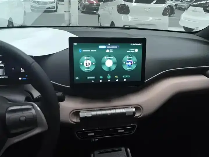 Seagull 2025 Model, 305km Range, Dynamic Edition 13