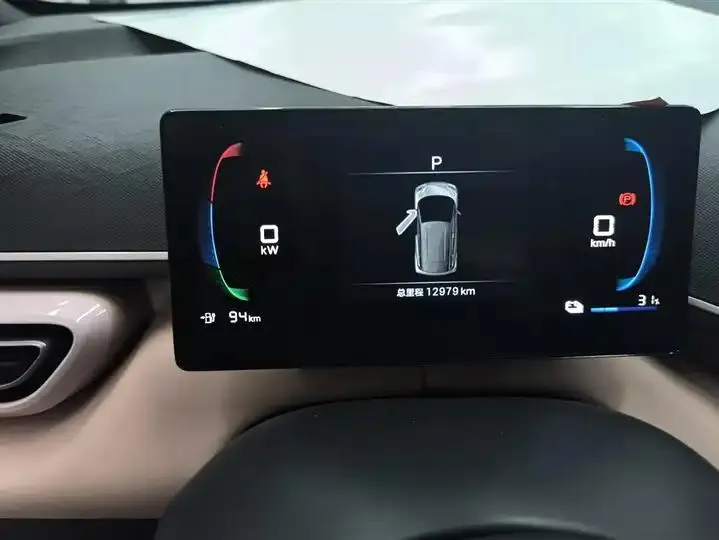 Seagull 2025 Model, 305km Range, Dynamic Edition 14