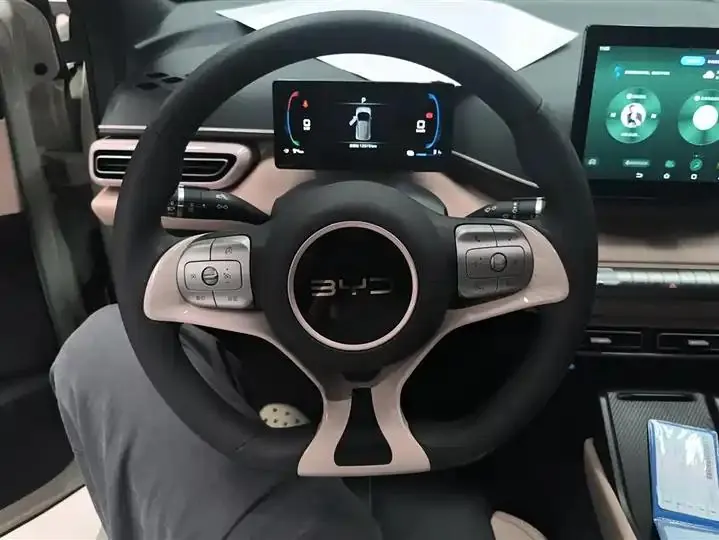 Seagull 2025 Model, 305km Range, Dynamic Edition 15