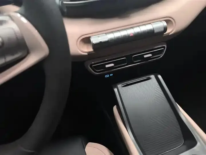 Seagull 2025 Model, 305km Range, Dynamic Edition 16
