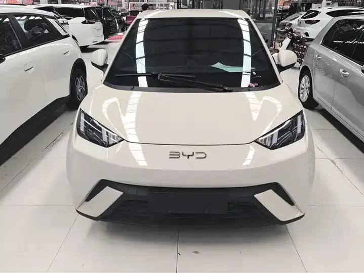 Seagull 2025 Model, 305km Range, Dynamic Edition 2