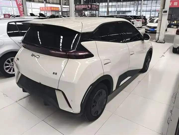 Seagull 2025 Model, 305km Range, Dynamic Edition 3