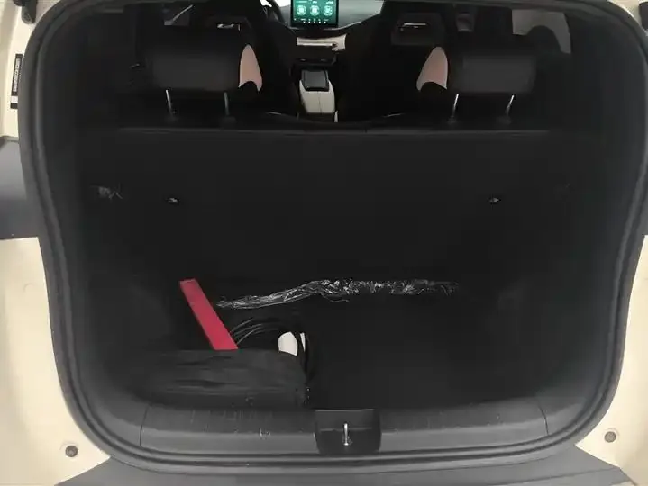 Seagull 2025 Model, 305km Range, Dynamic Edition 4