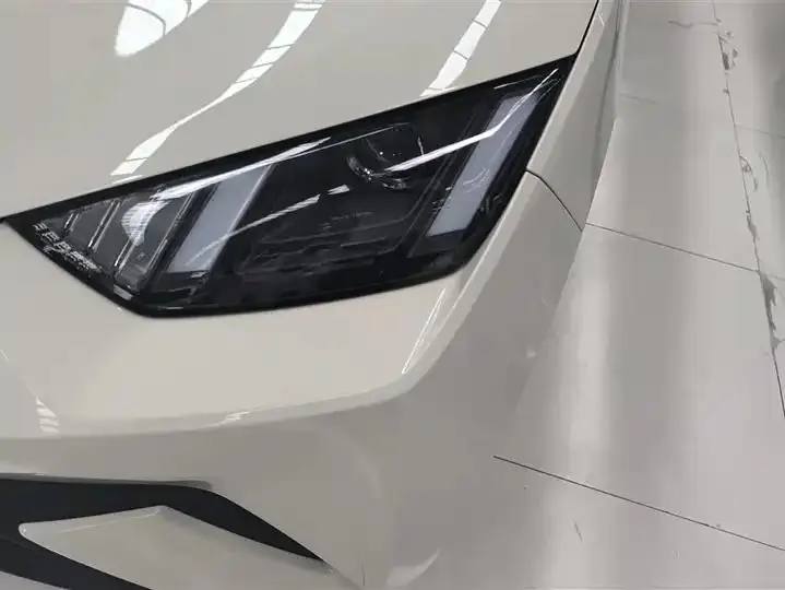 Seagull 2025 Model, 305km Range, Dynamic Edition 5