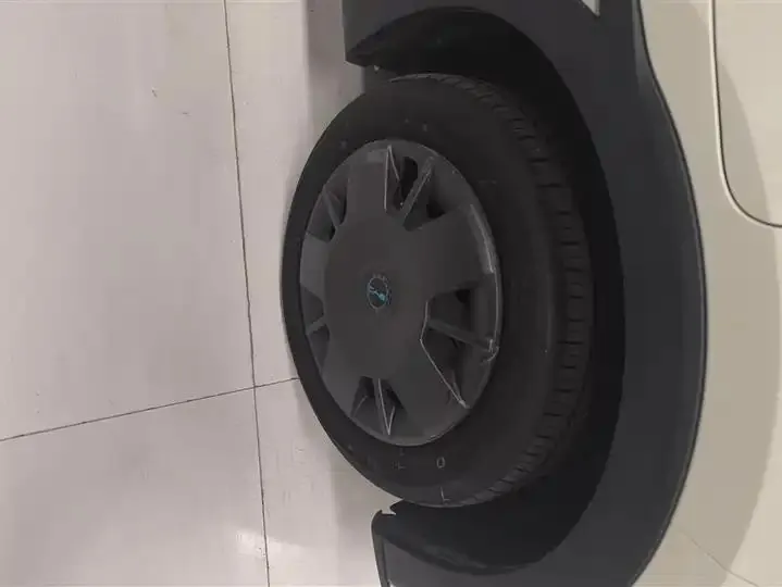 Seagull 2025 Model, 305km Range, Dynamic Edition 6