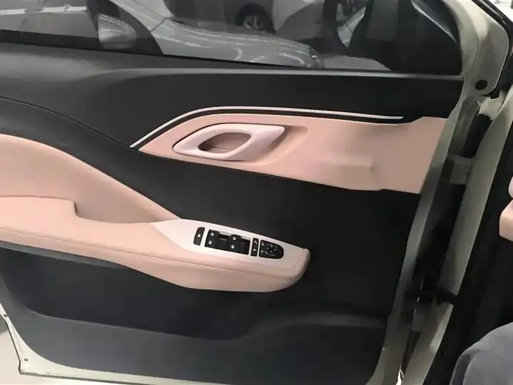 Seagull 2025 Model, 305km Range, Dynamic Edition 7
