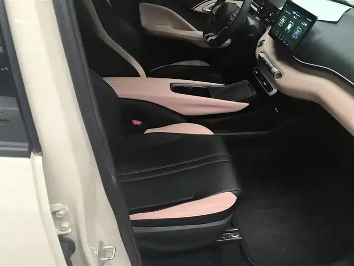 Seagull 2025 Model, 305km Range, Dynamic Edition 8