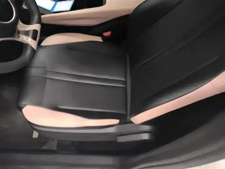 Seagull 2025 Model, 305km Range, Dynamic Edition 9