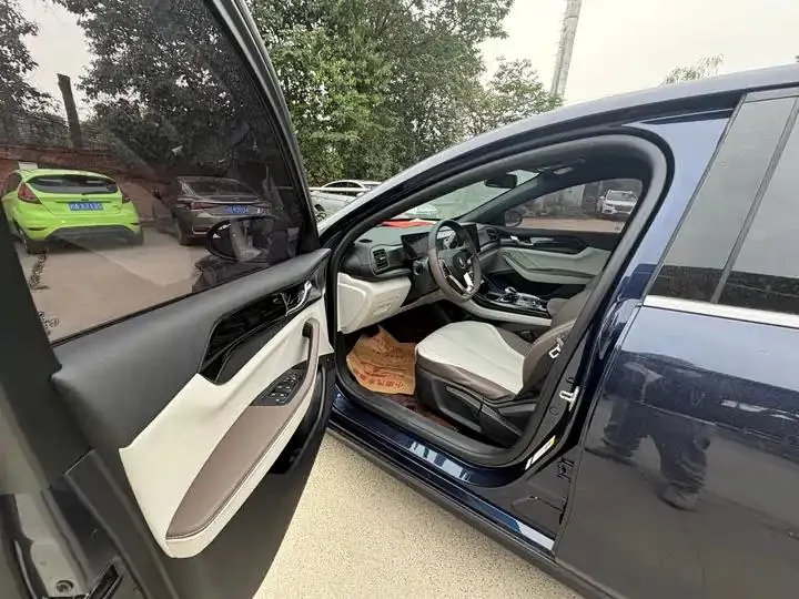 Qin PLUS 2024 Glory Edition DM-i 55KM Leading Model 4