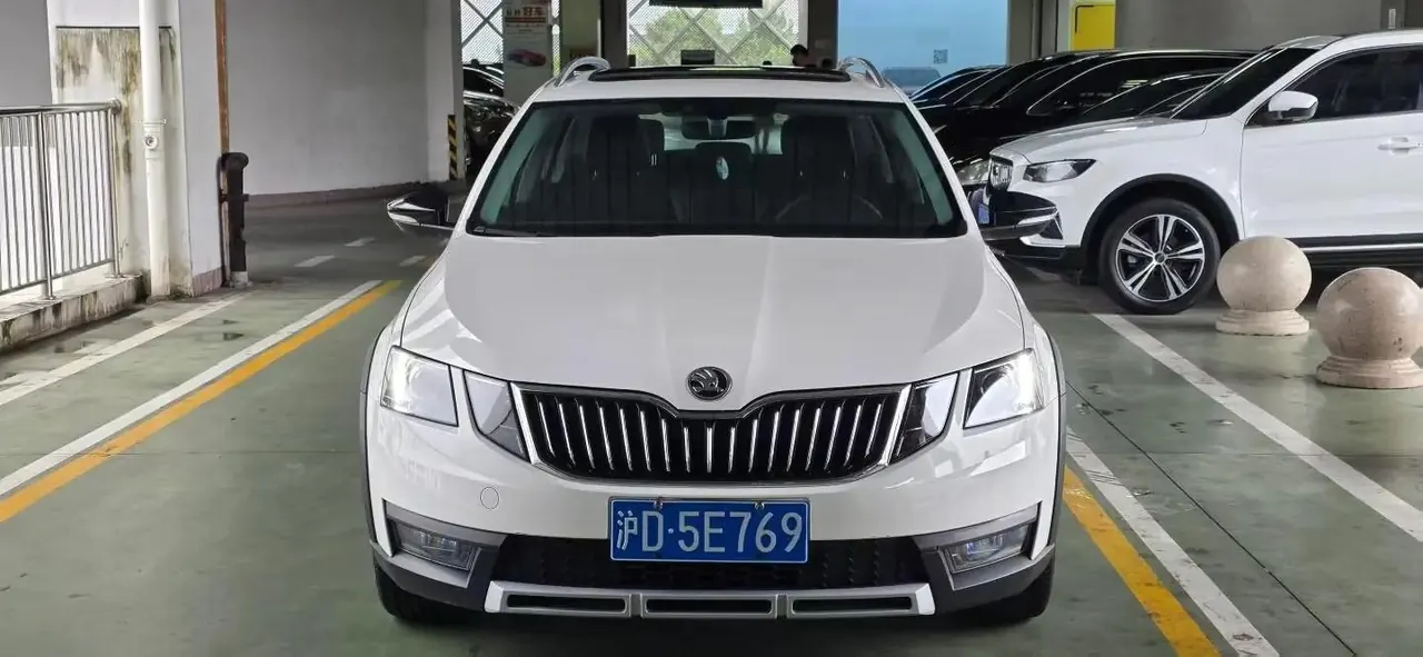 Ming Rui 2019 Station Wagon TSI230 DSG Deluxe Edition National V 2