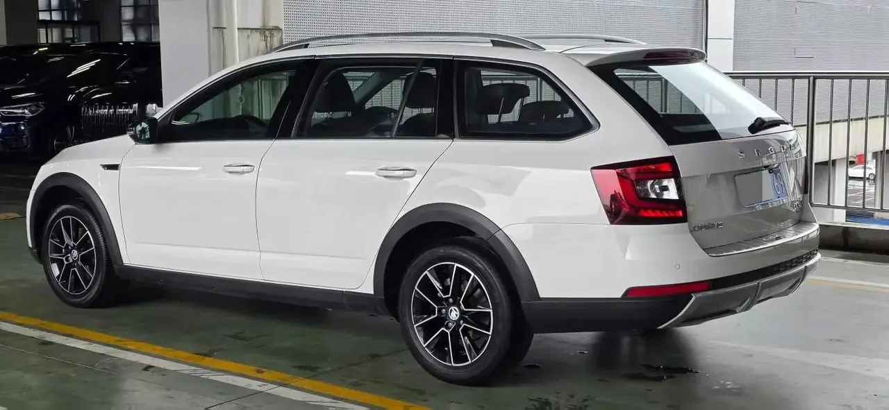 Ming Rui 2019 Station Wagon TSI230 DSG Deluxe Edition National V 5
