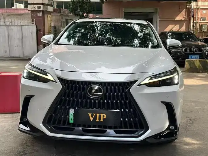 Lexus NX New Energy 2022 400h Free Collar Edition 2