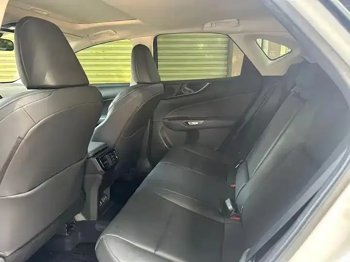 Lexus NX New Energy 2022 400h Free Collar Edition 5