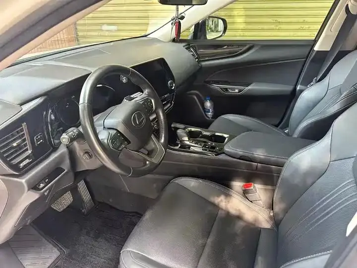 Lexus NX New Energy 2022 400h Free Collar Edition 6