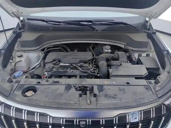 Smart Run 2021 Ace 2.0L Wonderful Edition 10