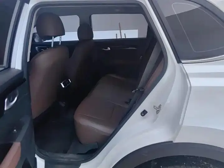 Smart Run 2021 Ace 2.0L Wonderful Edition 11