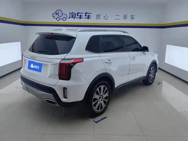Smart Run 2021 Ace 2.0L Wonderful Edition 3