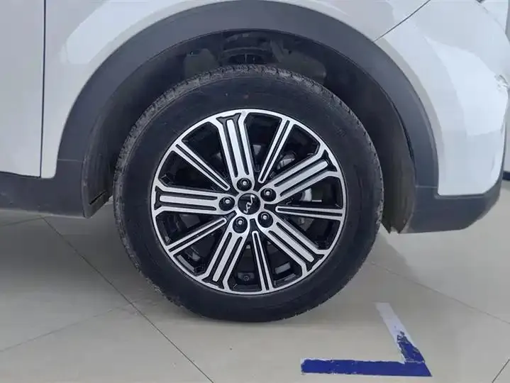 Smart Run 2021 Ace 2.0L Wonderful Edition 6