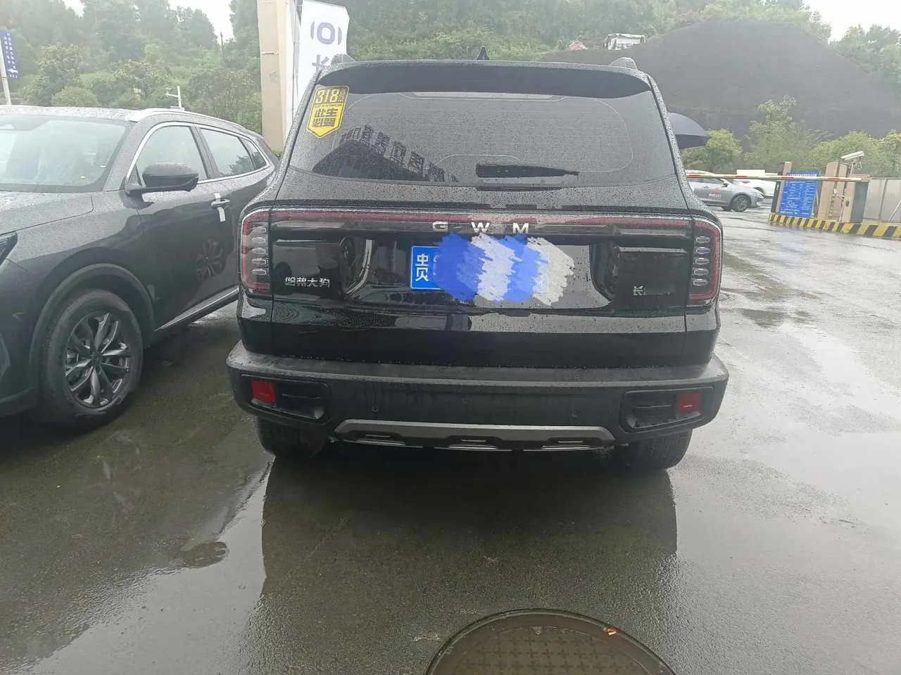 Haval 2024 Dog 1.5T Border Collie Edition Automatic 6