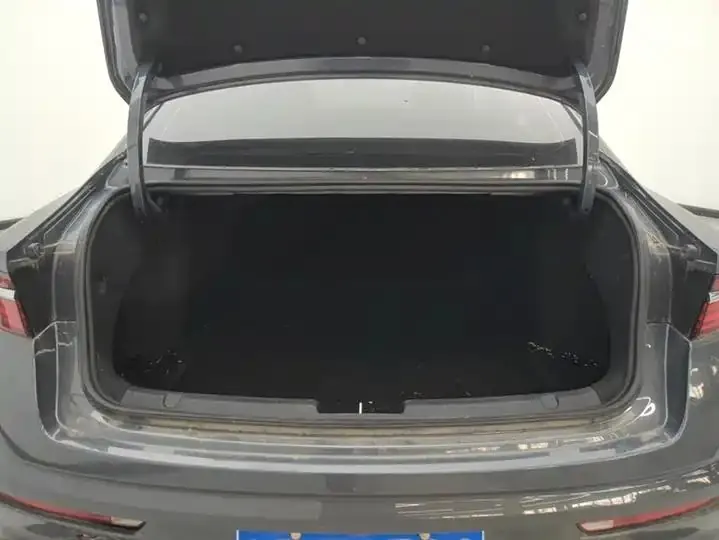 Xingrui 2023 1.5TD Kunlun Edition 4