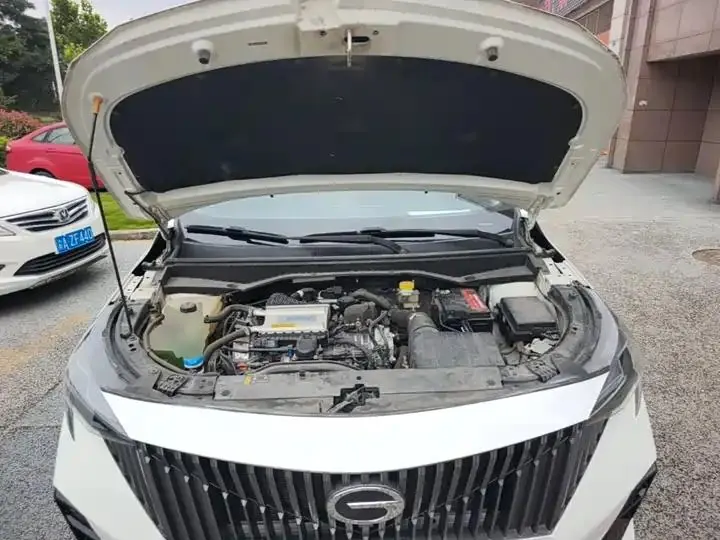 Trumpchi GS3 2023 Shadow Speed 270T Elite Edition 20