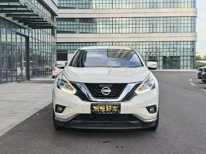 Loulan 2021 2.5L XE Two-Drive Elite Edition 2