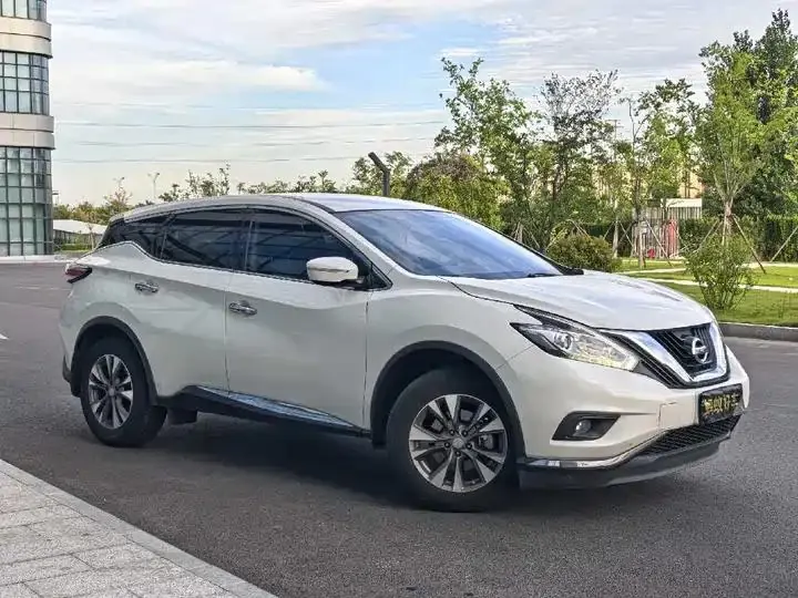 Loulan 2021 2.5L XE Two-Drive Elite Edition 3