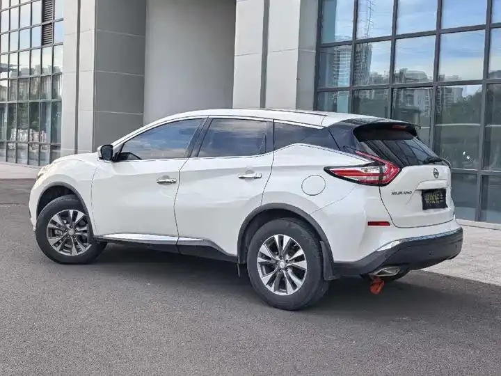 Loulan 2021 2.5L XE Two-Drive Elite Edition 7