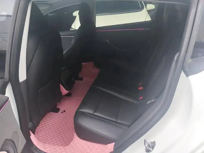 Model 3 2023 rear-wheel drive version 4